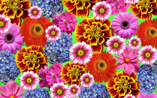1350220 (a): :1920x1200